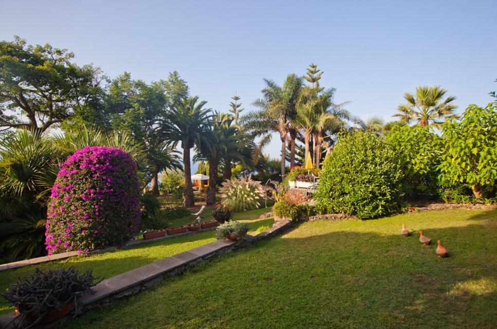 Finca Casa Vieja Hotel Santa Ursula  Exterior photo